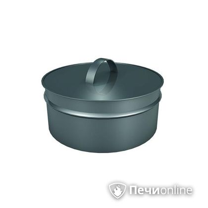 Заглушки Теплов и Сухов Заглушка ревизии Термо-Р 304 0.5 D220(120) в Курске