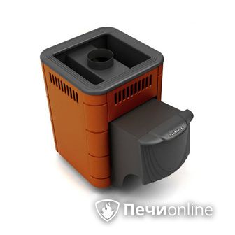 Дровяная банная печь TMF Оса Carbon терракота дверь антрацит в Курске